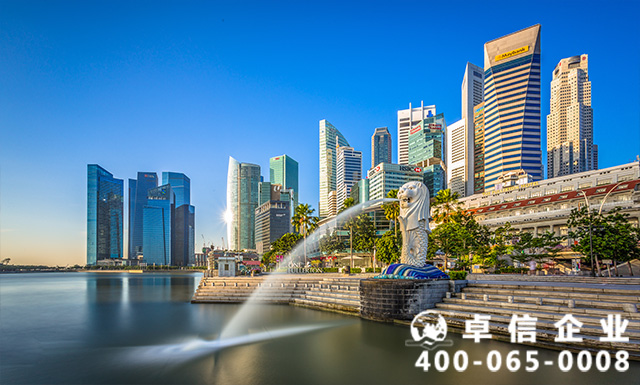 新加坡的公司結(jié)構(gòu)有哪些類(lèi)型？