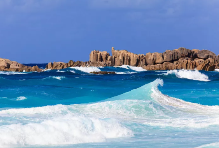 塞舌爾公司逾期年審有什么后果？