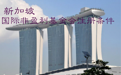 新加坡國際非營利基金會(huì)注冊(cè)條件