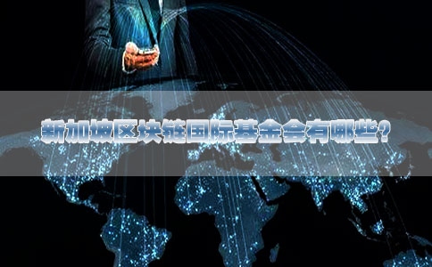 新加坡區(qū)塊鏈國際基金會(huì)有哪些